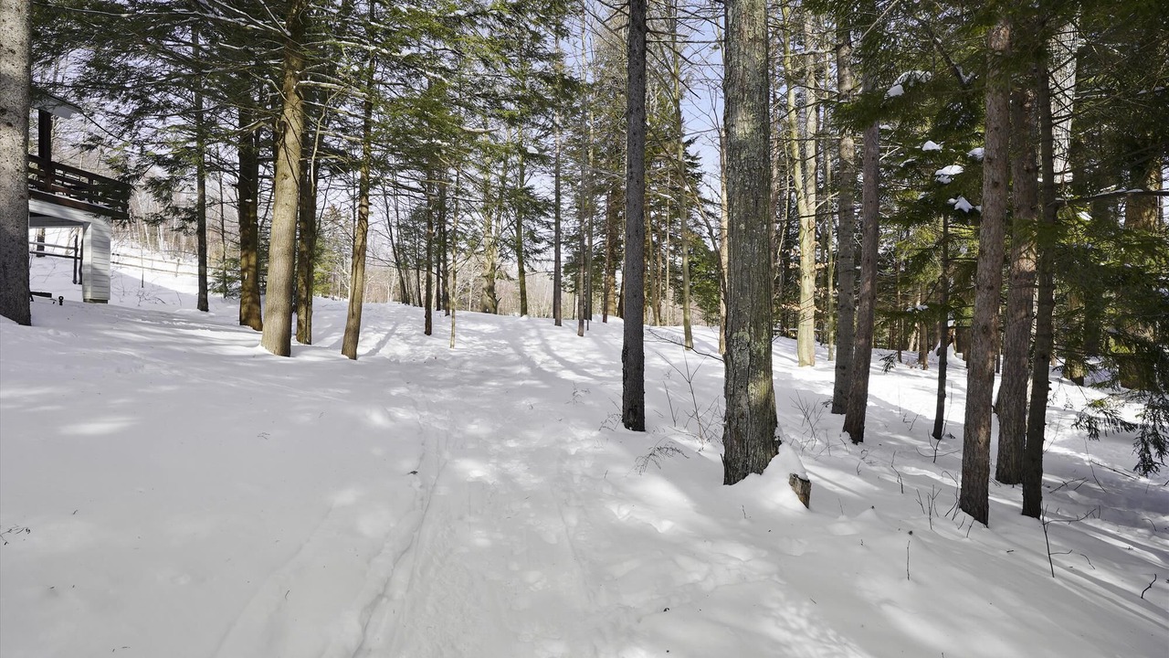 Photo of Outdoor in Stowe Area
