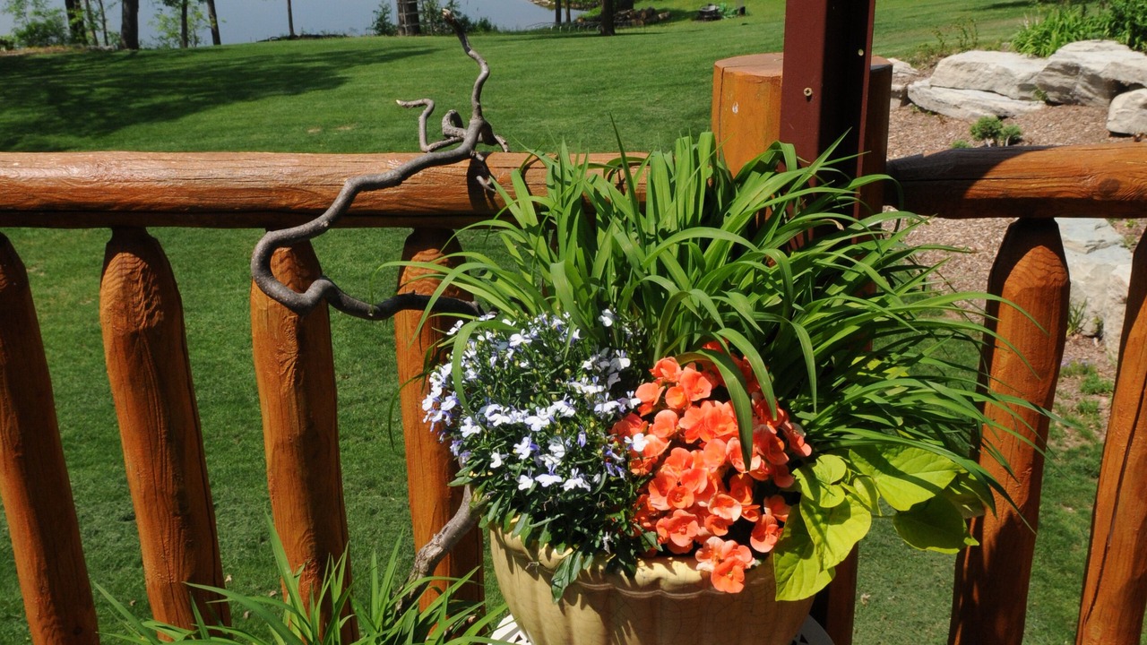Photo of Outdoor in Little Chute