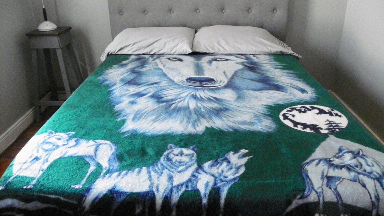 Photo of Bedroom in Forestport