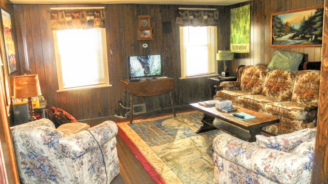 Photo of Livingroom in Forestport