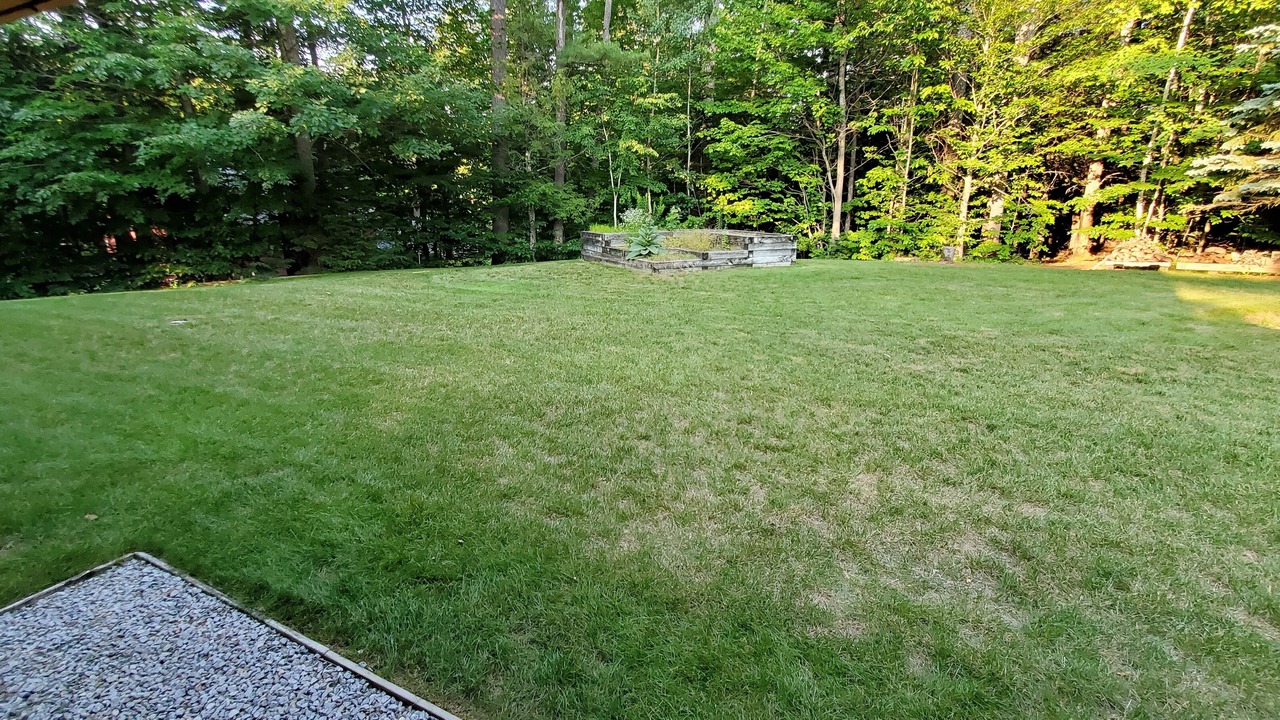 Photo of Outdoor in Bartlett