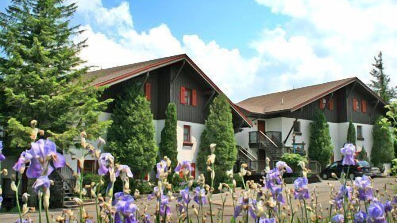 Photo of Outdoor in Snowshoe