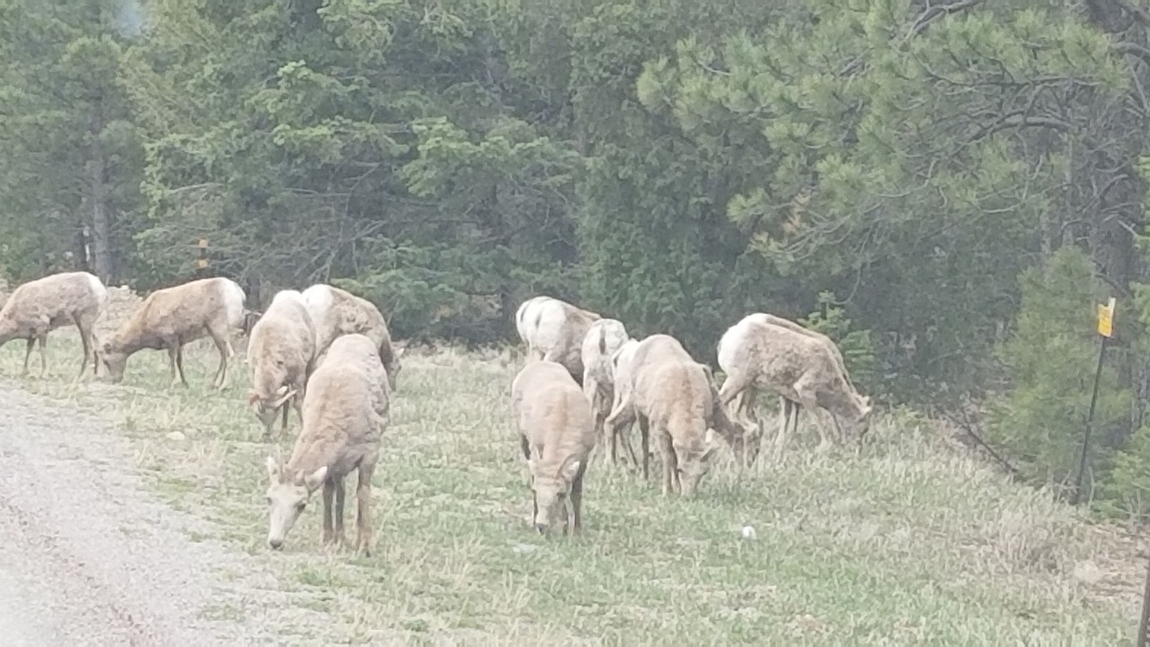 Photo of Others in Eagle Nest
