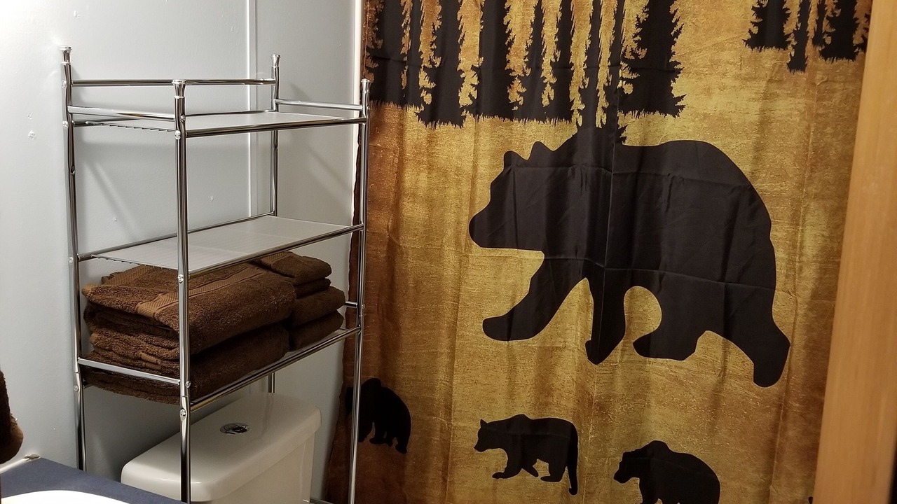 Photo of Bathroom in Eagle Nest