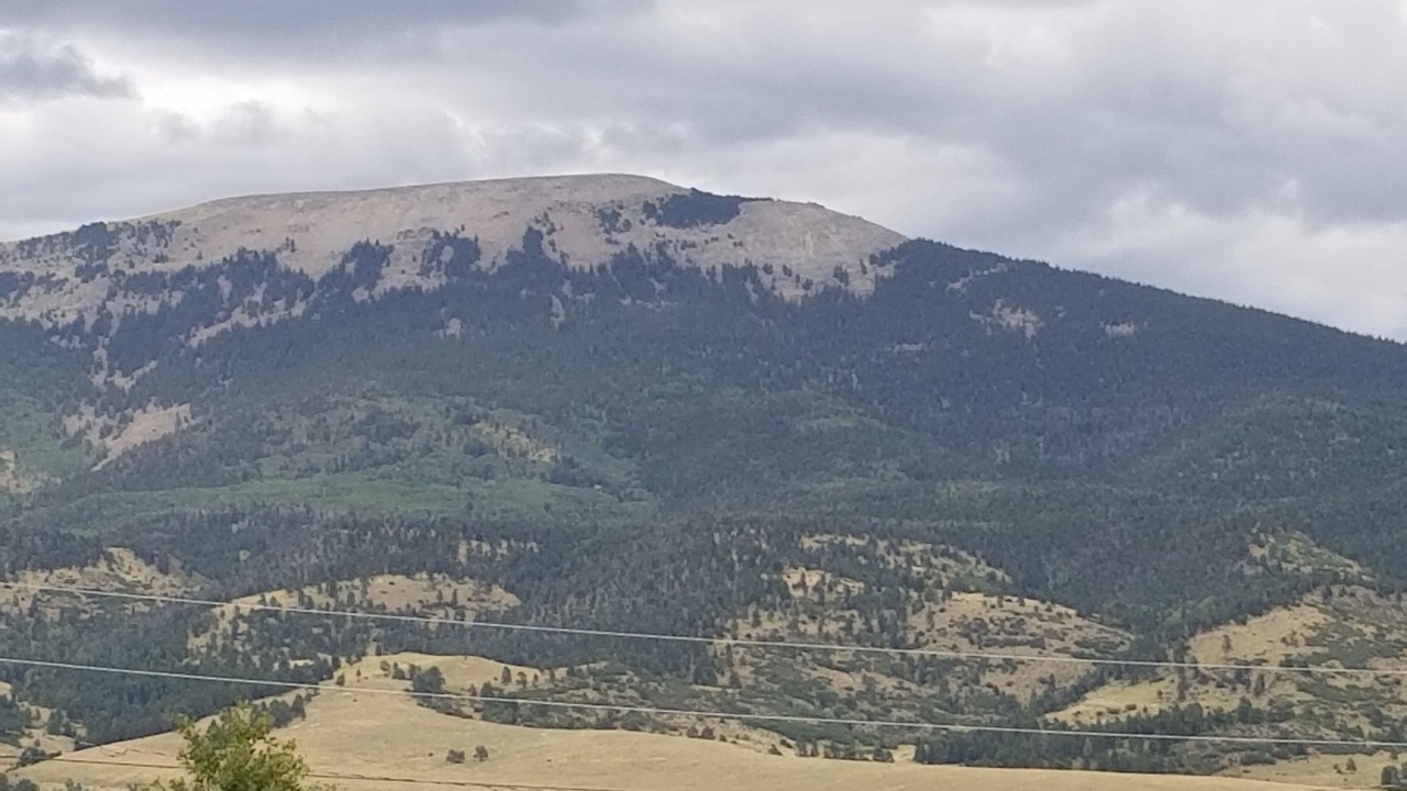 Photo of Others in Eagle Nest
