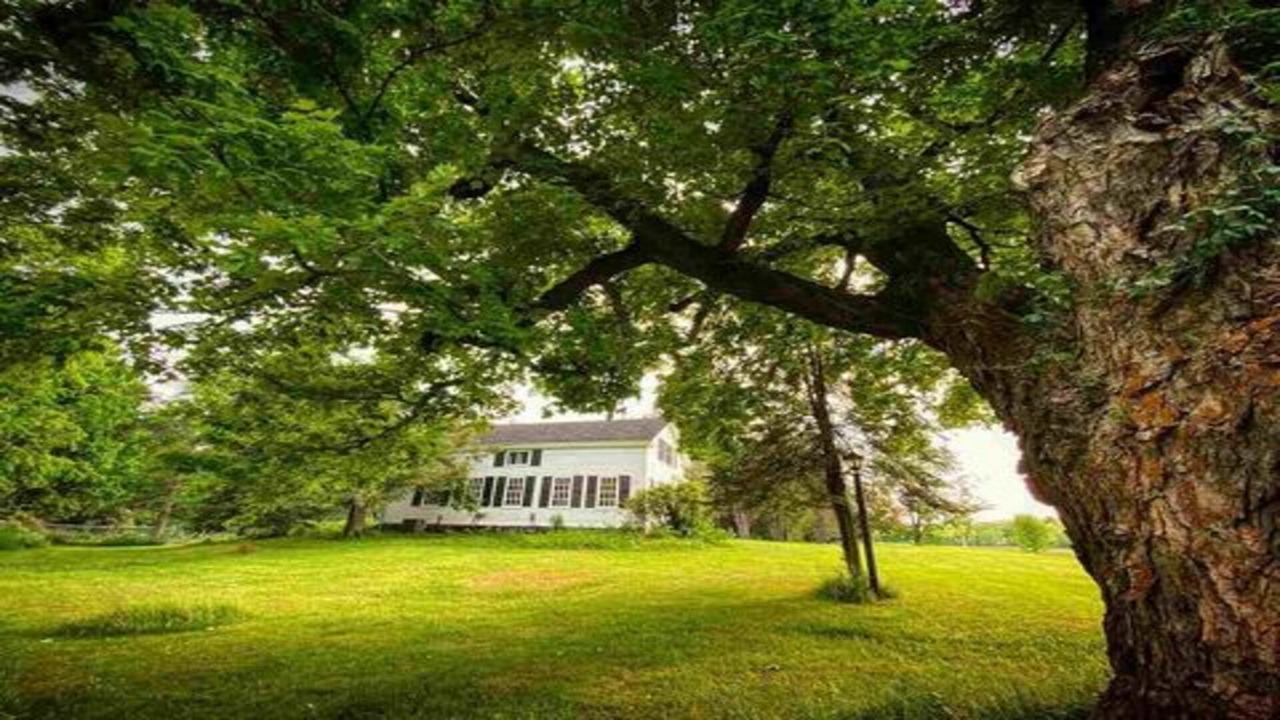 Photo of Outdoor in Canton