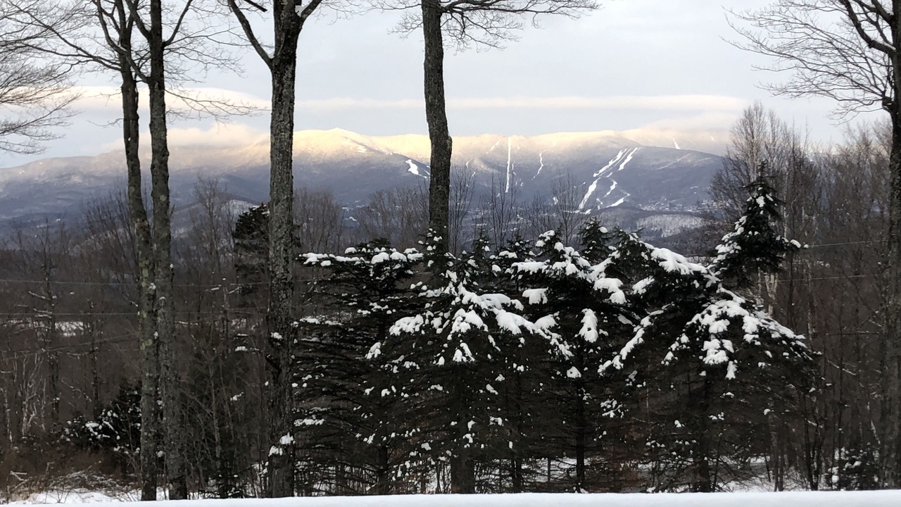 Photo of Outdoor in Warren