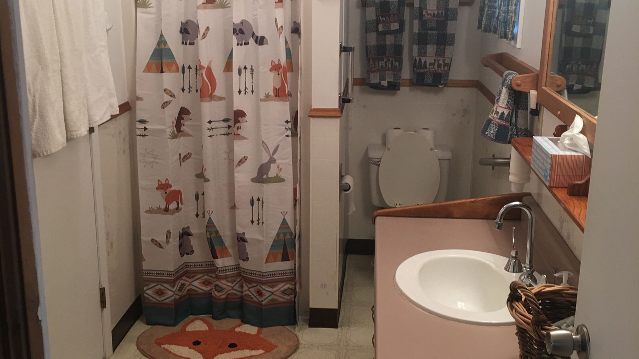 Photo of Bathroom in Side Lake