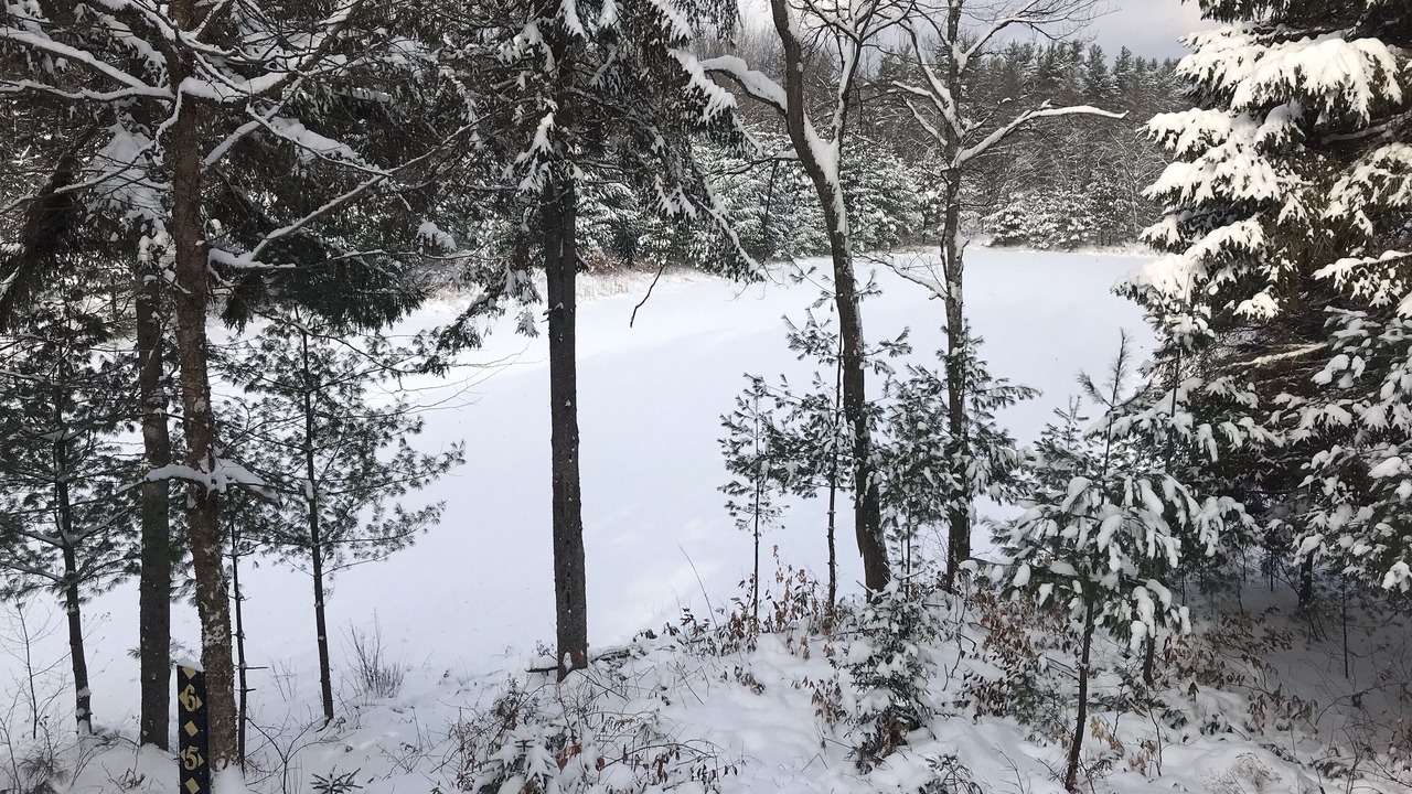 Photo of Outdoor in South Rutland