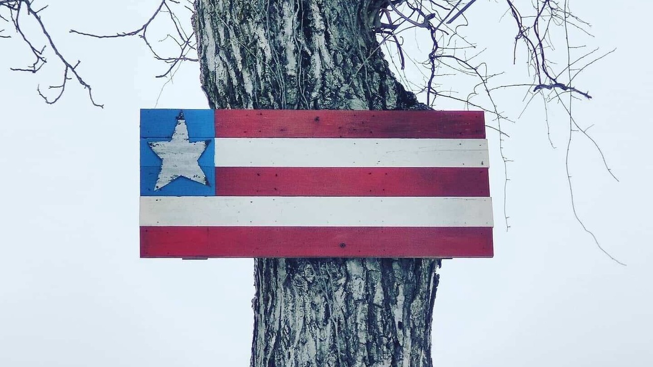 Photo of Outdoor in Myersville