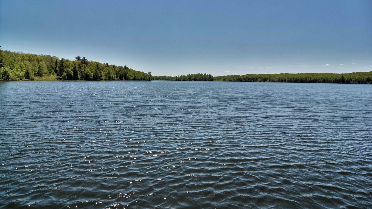 Photo of Others in Iron River
