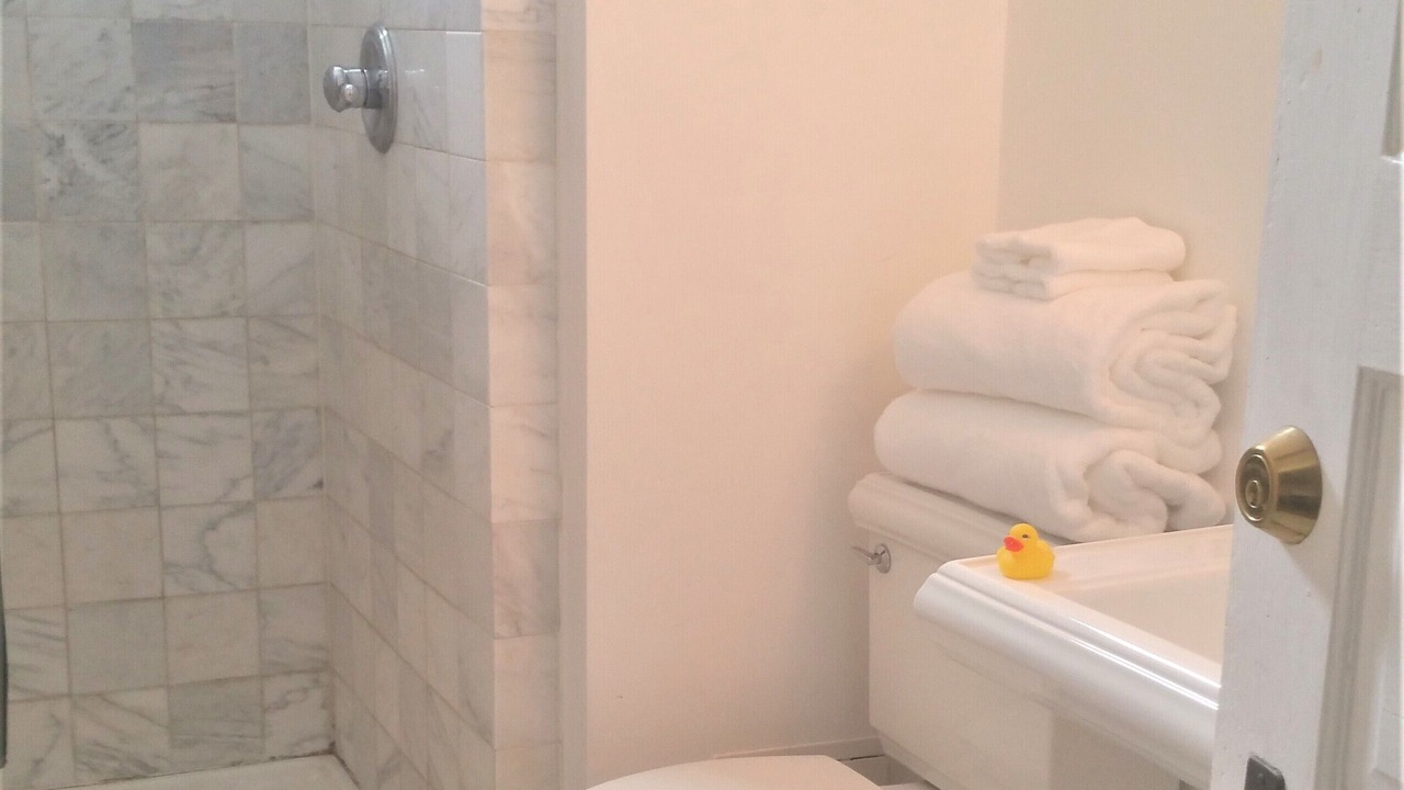 Photo of Bathroom in Downtown Minneapolis