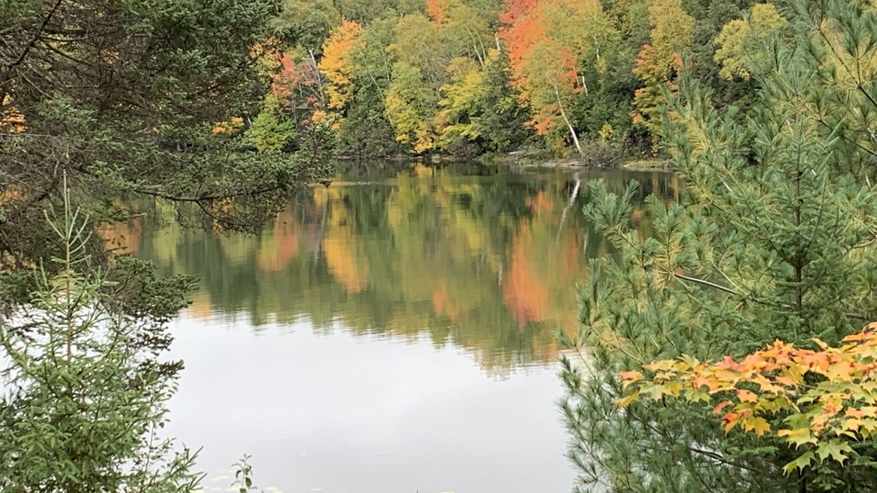 Photo of Outdoor in Sayner
