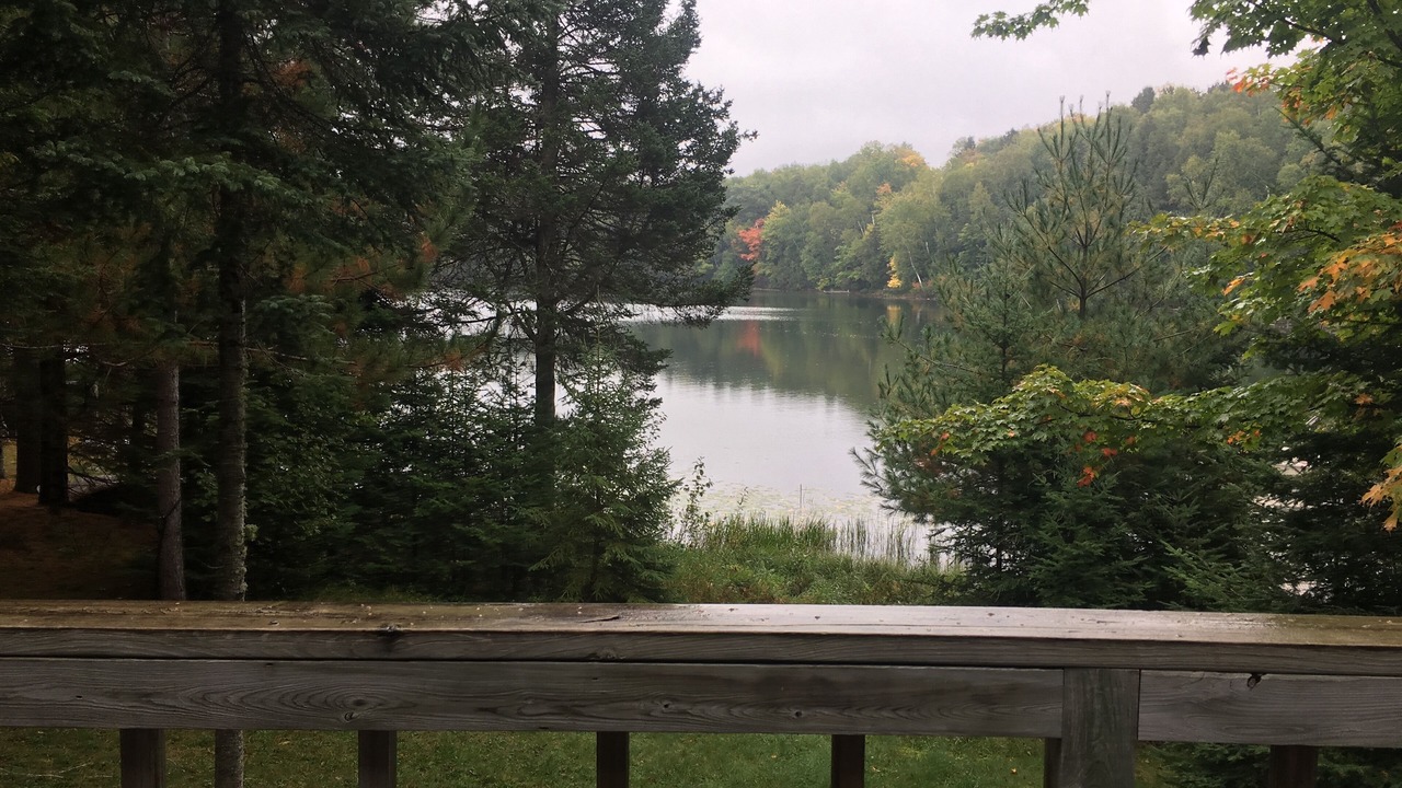 Photo of Outdoor in Sayner