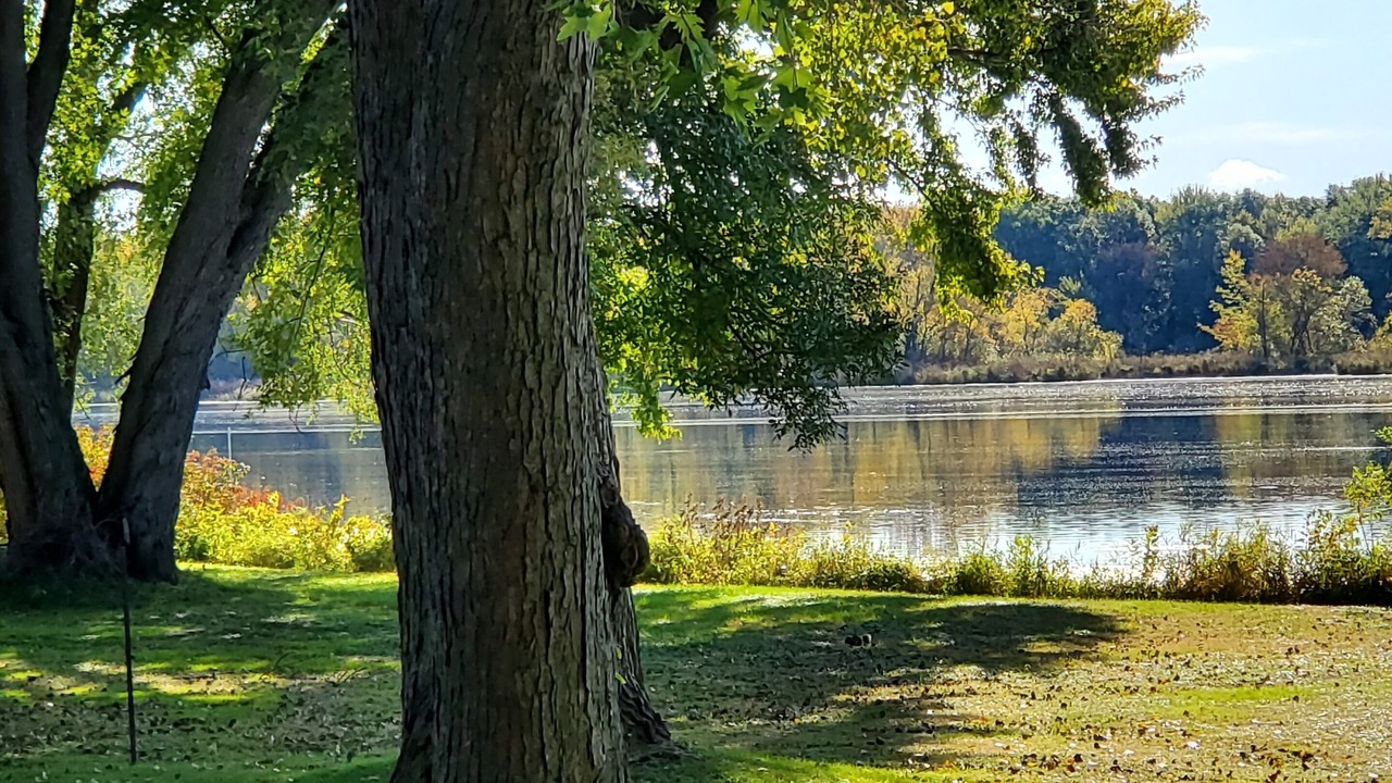 Photo of Outdoor in Brice Prairie