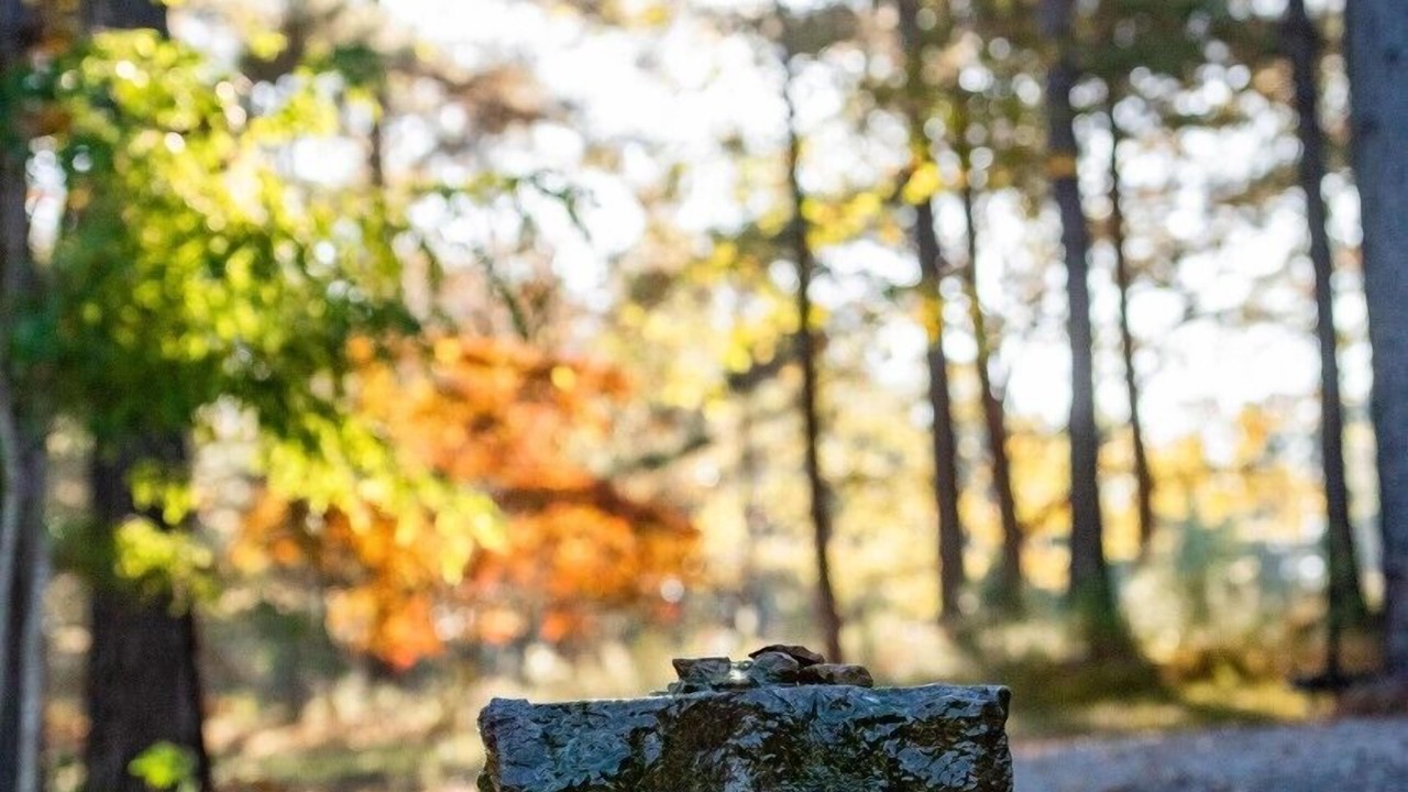 Photo of Outdoor in Nellysford