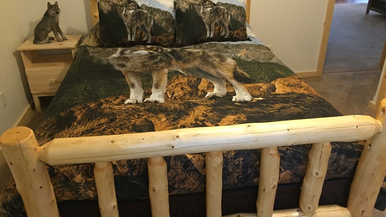 Photo of Bedroom in Minocqua