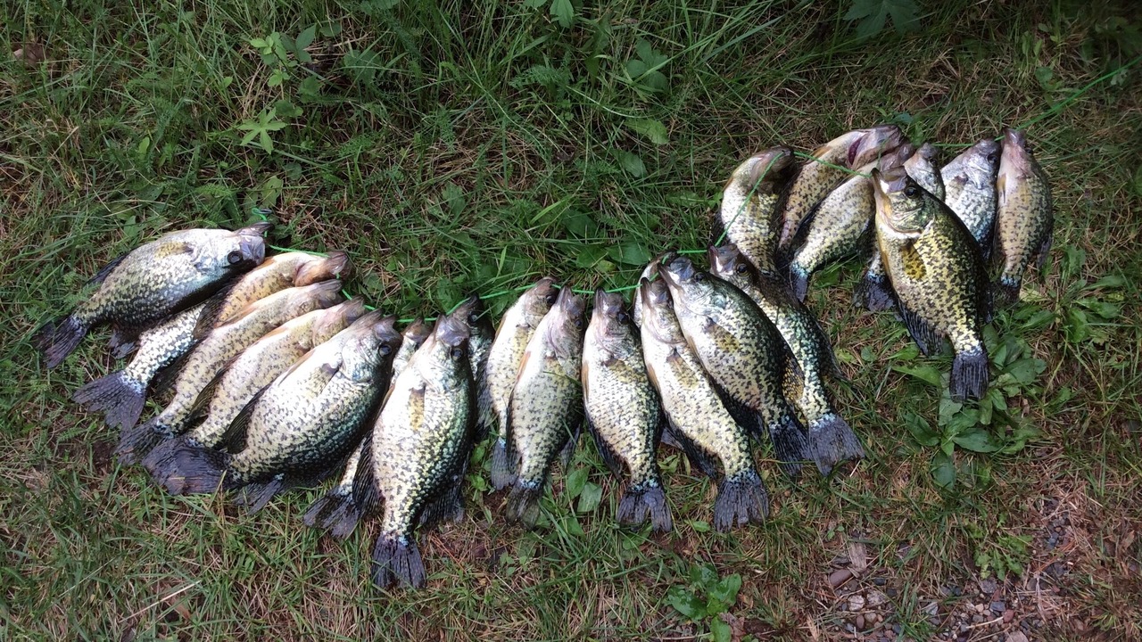 Photo of Others in Lake Wissota