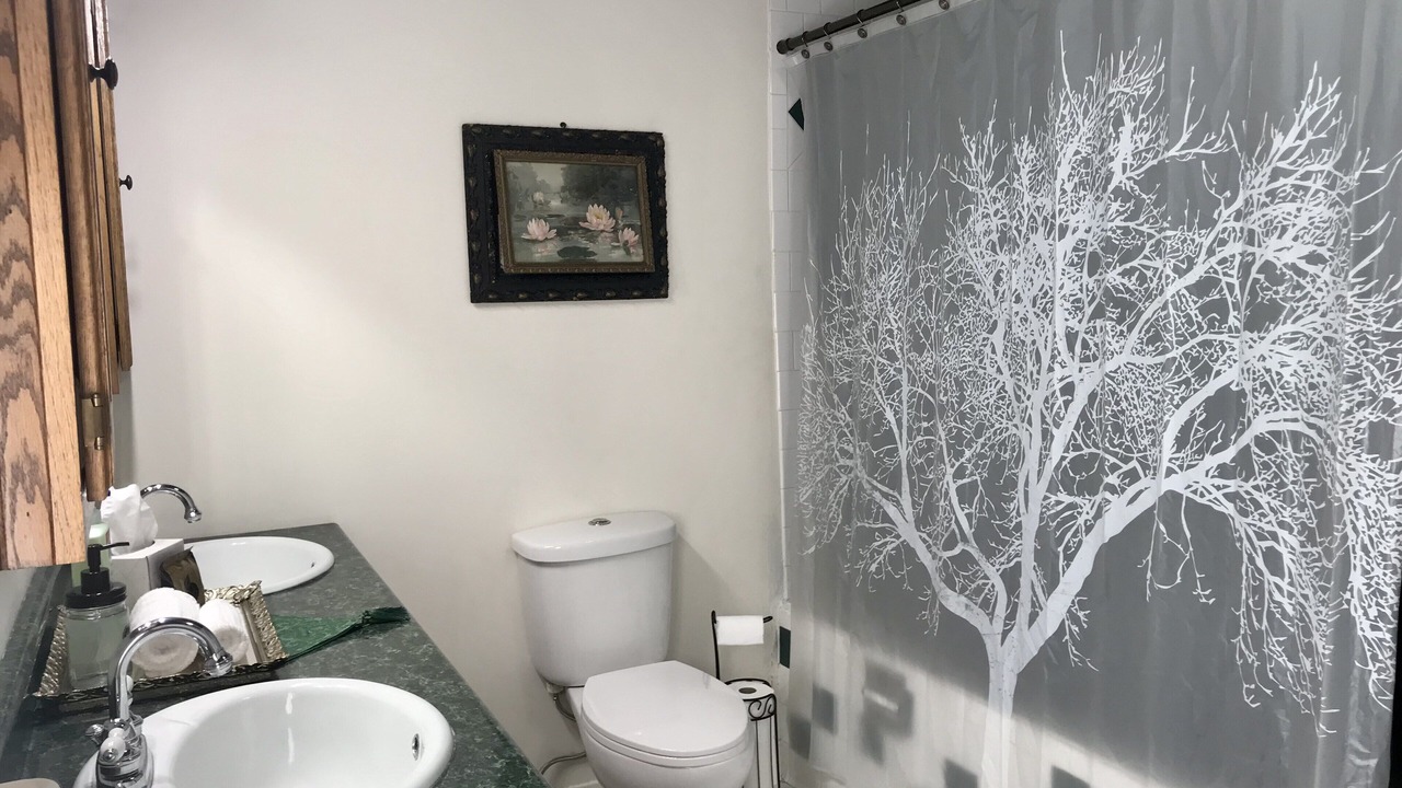 Photo of Bathroom in Osceola