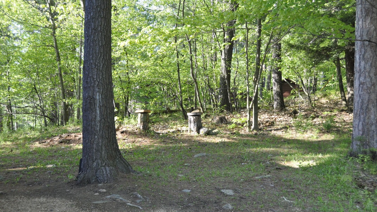 Photo of Others in Town of Hermon