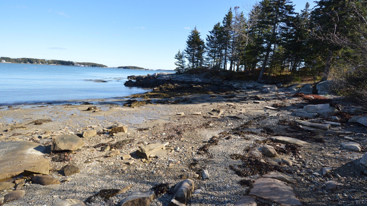 Photo of Others in Spruce Head