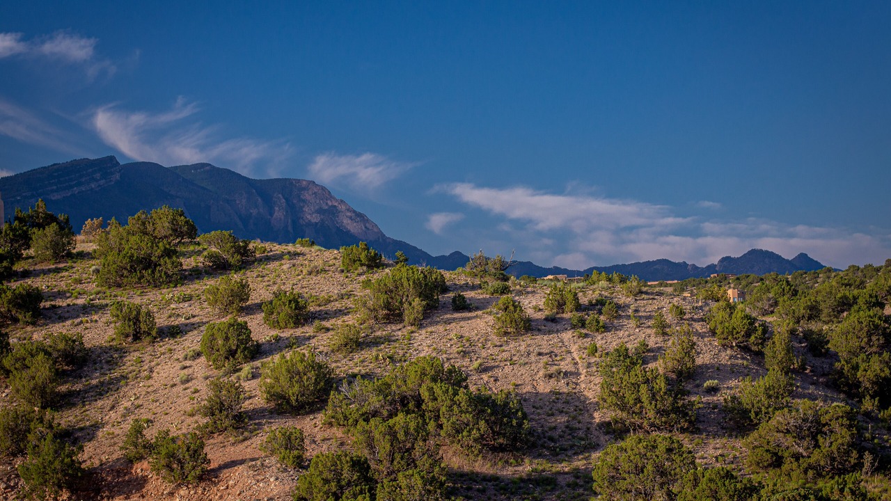 Photo of Others in Placitas