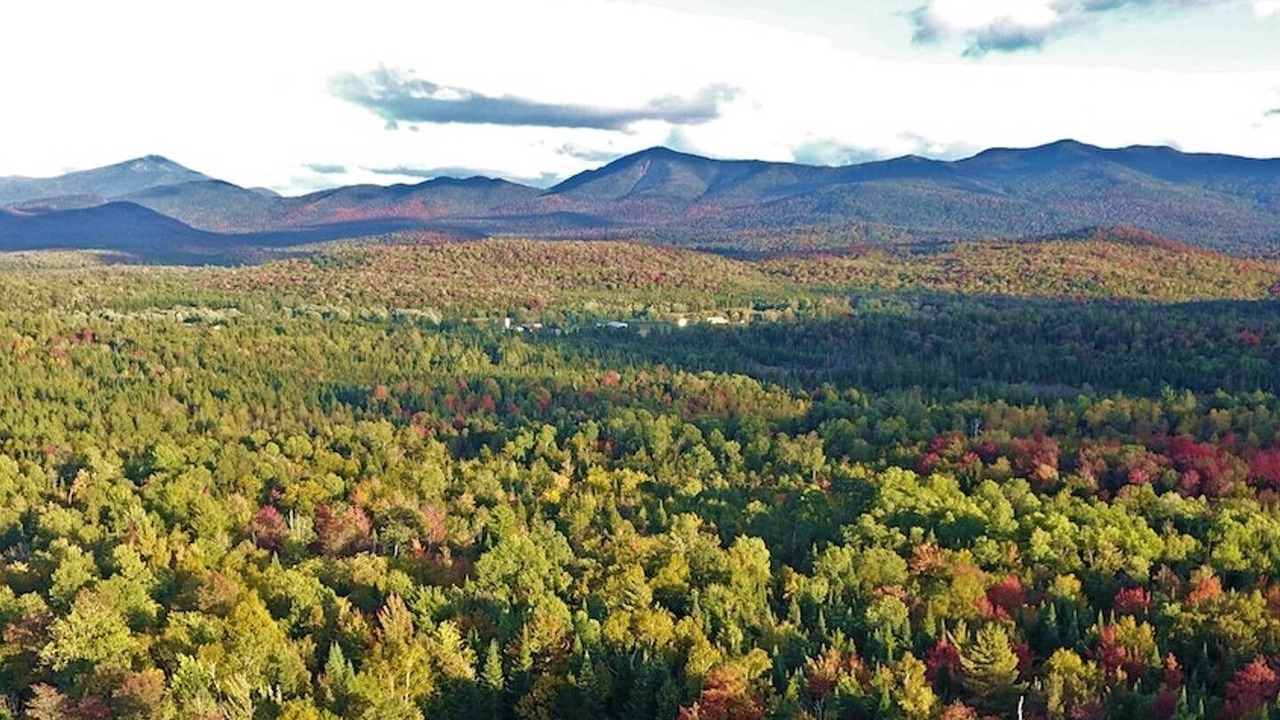 Photo of Outdoor in Bloomingdale