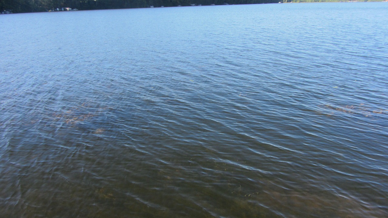 Photo of Others in Markville