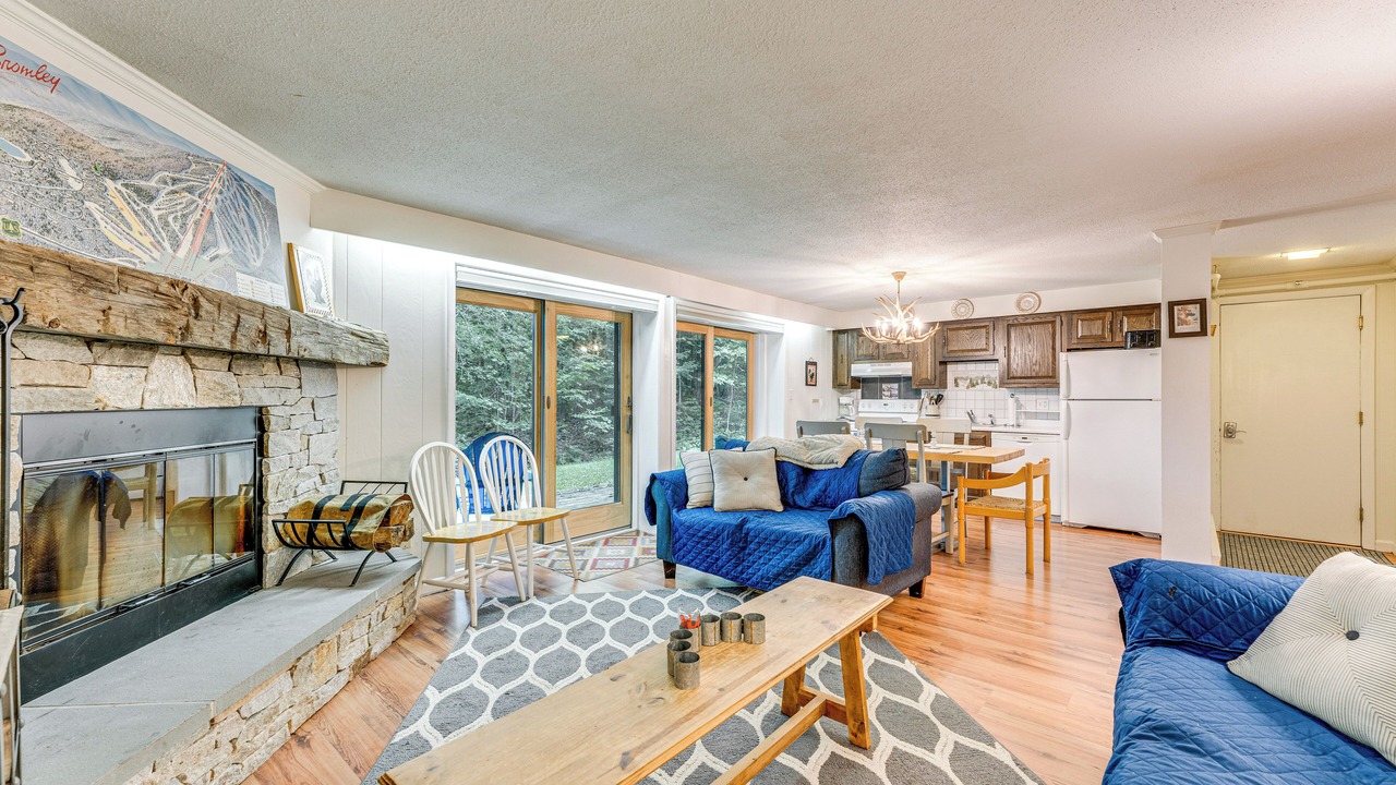 Photo of Livingroom in Bromley Mountain