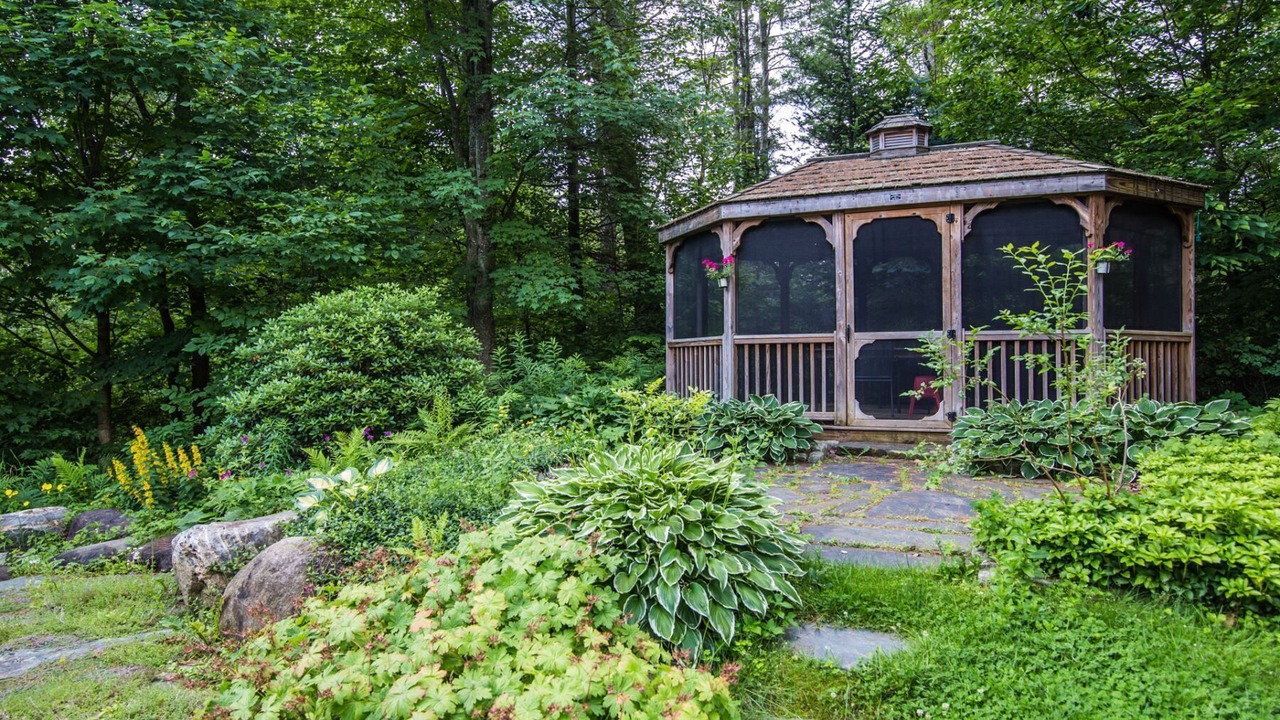 Photo of Outdoor in Stowe Area