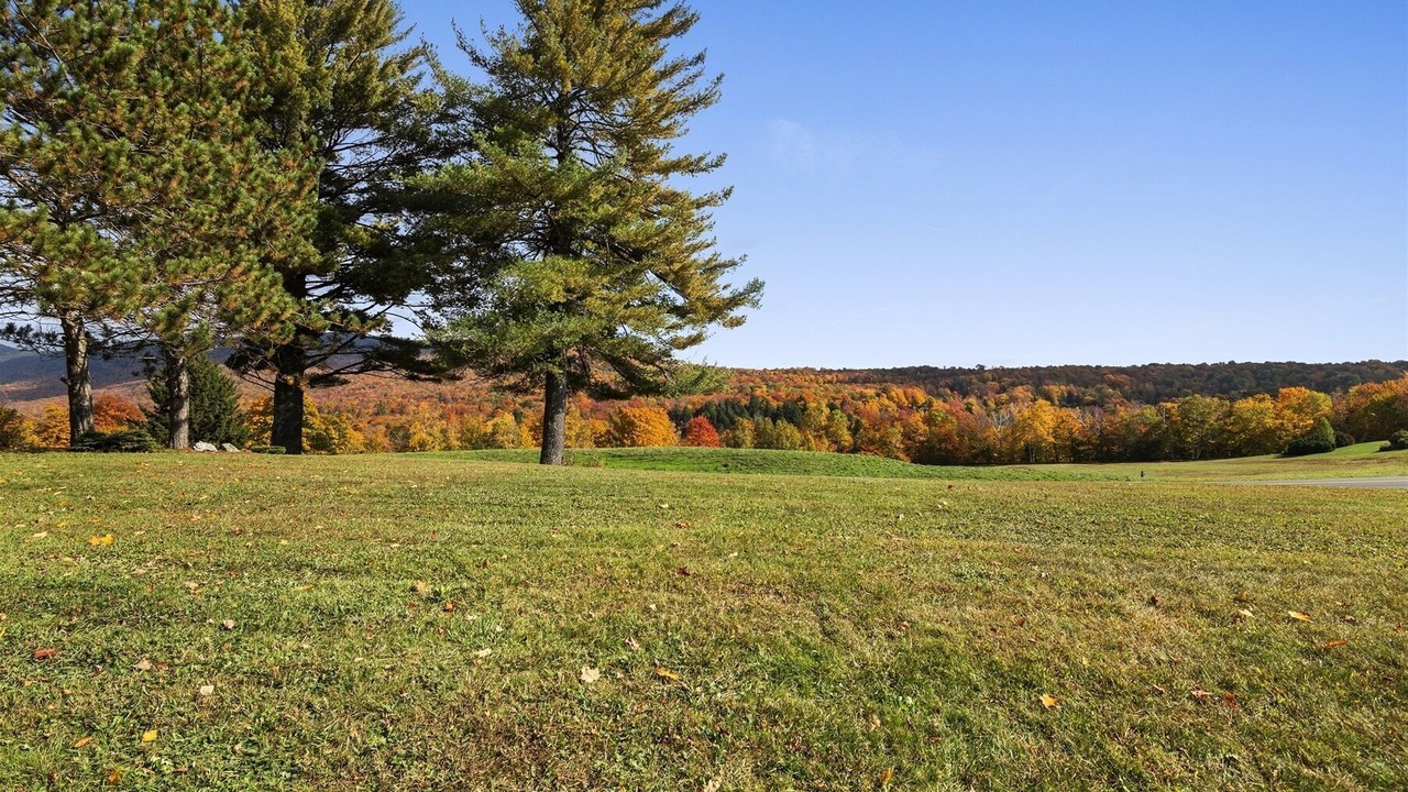 Photo of Others in Stowe Area