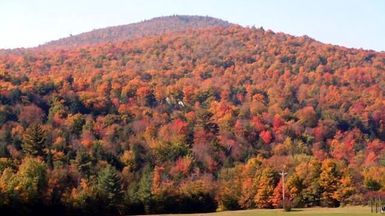 Photo of Others in Stowe Area