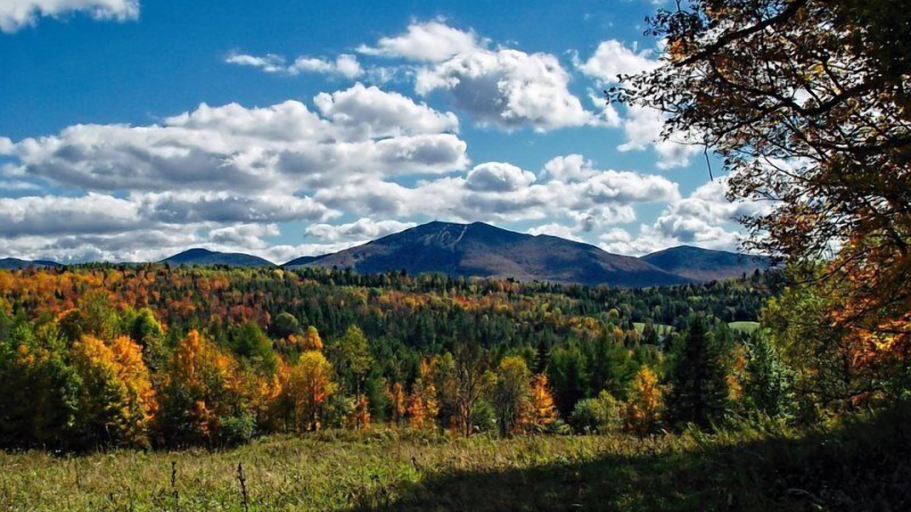 Photo of Others in Stowe Area