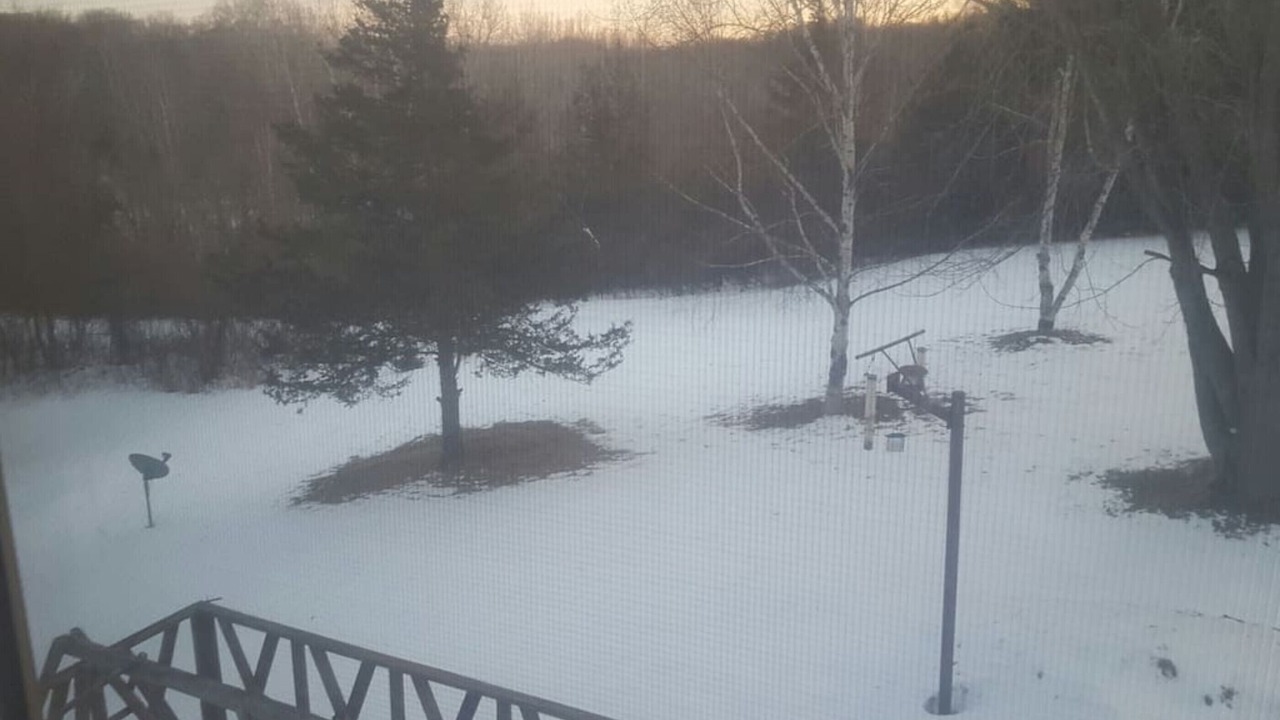 Photo of Outdoor in St. Joseph