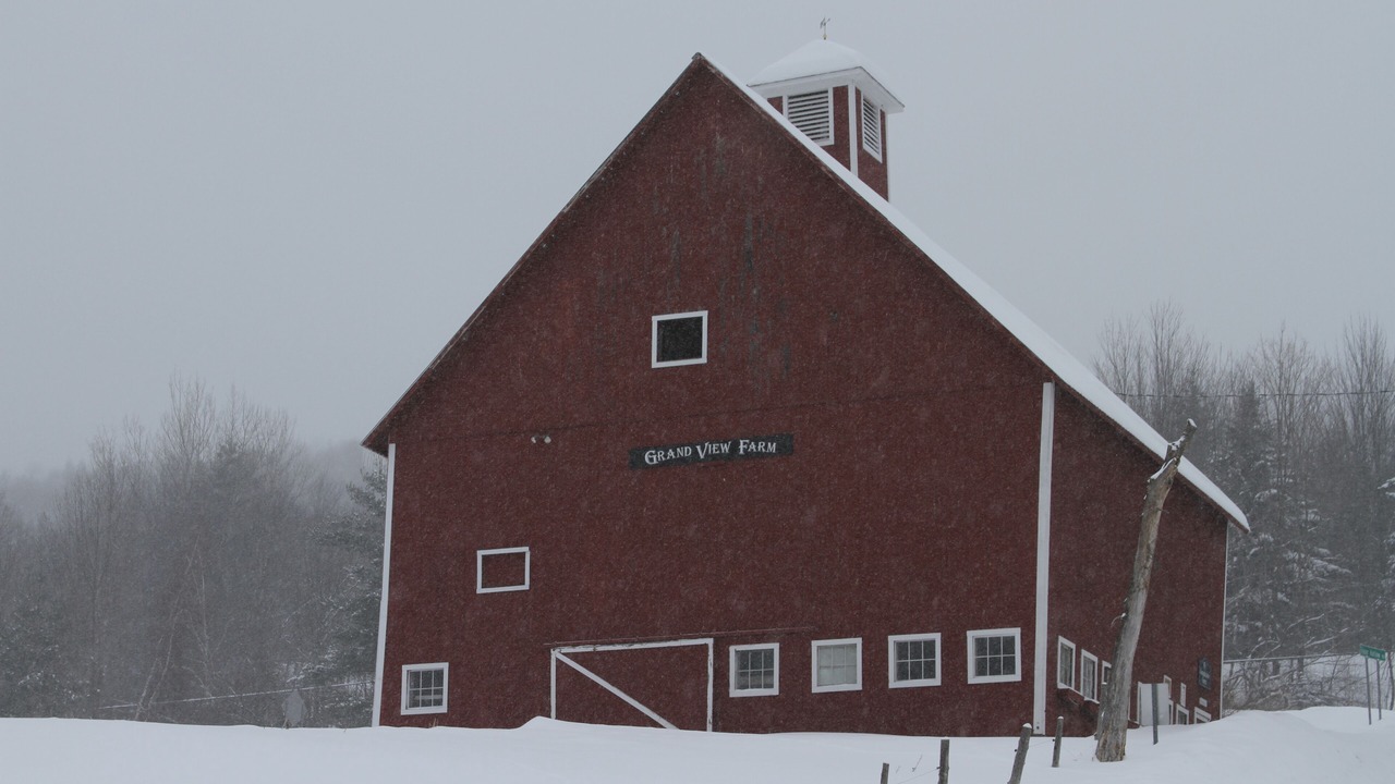 Photo of Outdoor in Stowe Hollow