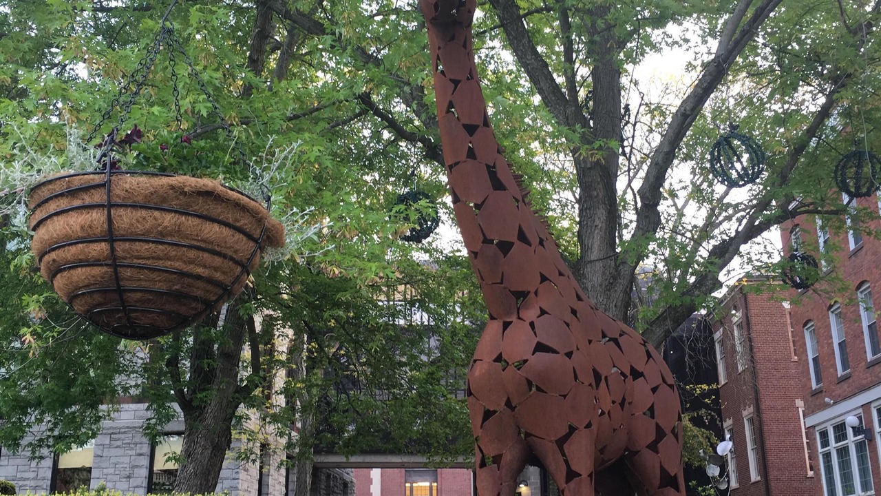 Photo of Outdoor in Northampton