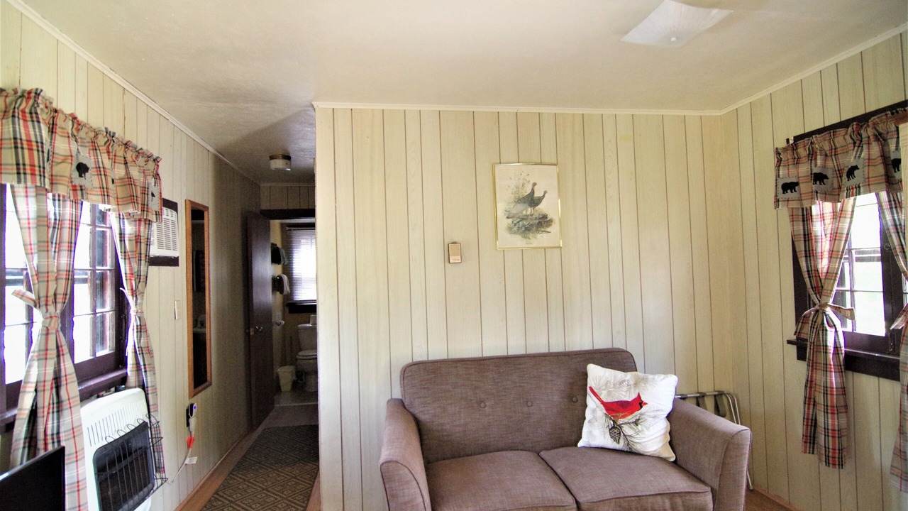 Photo of Livingroom in Ray Brook