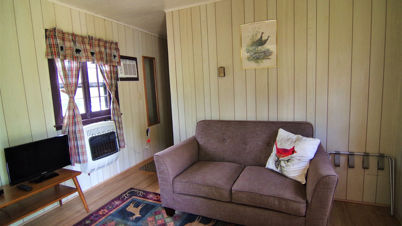Photo of Livingroom in Ray Brook