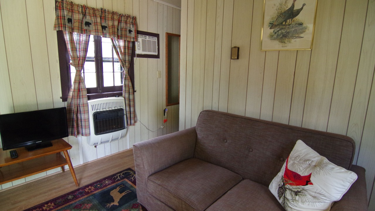 Photo of Livingroom in Ray Brook