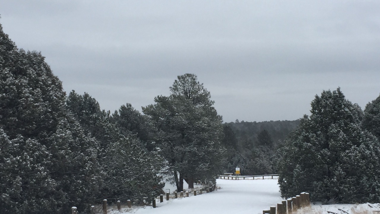 Photo of Outdoor in Canada de los Alamos
