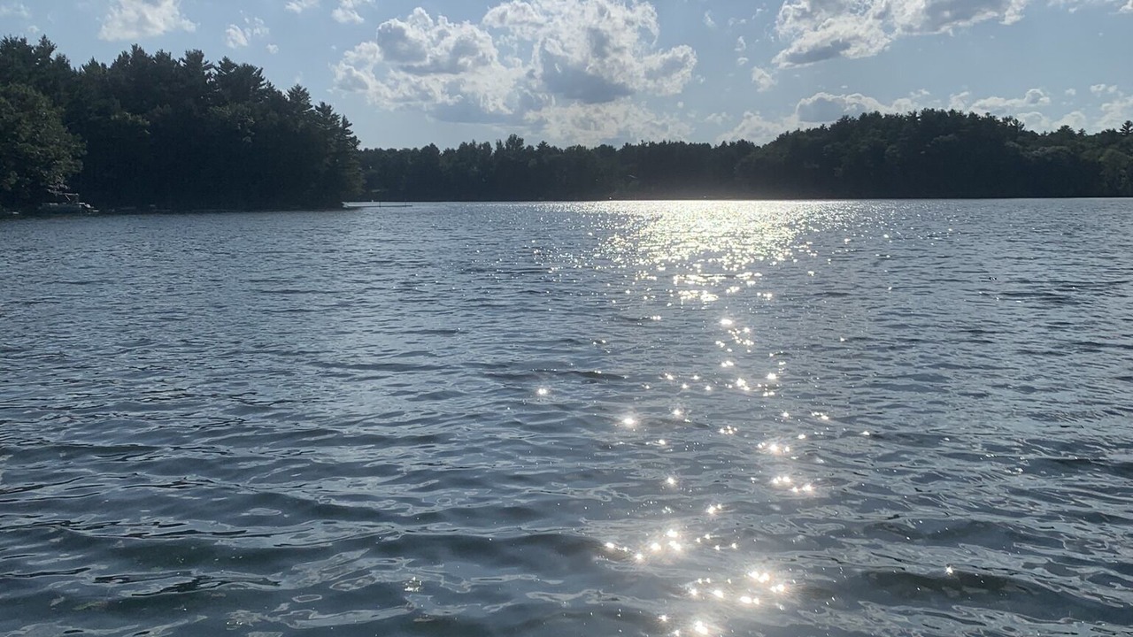 Photo of Others in Pine River
