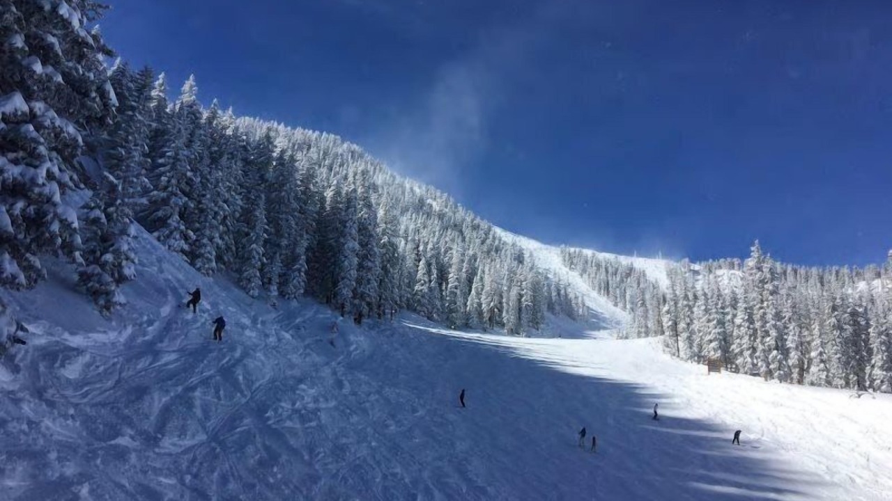 Photo of Others in Taos Ski Valley