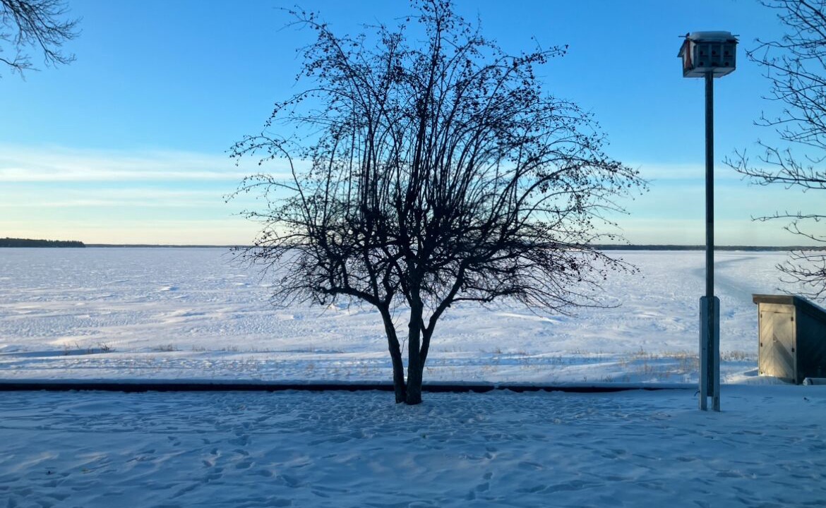 Photo of Others in Nisswa