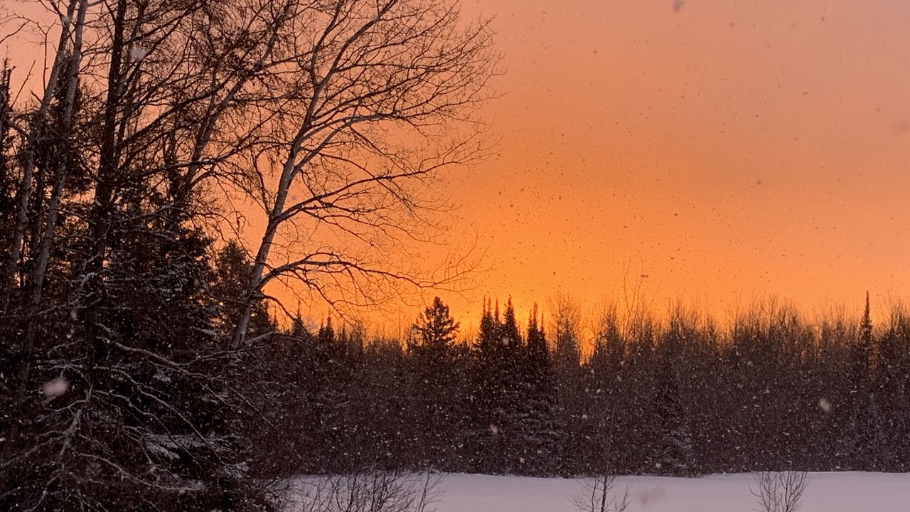Photo of Others in Two Harbors