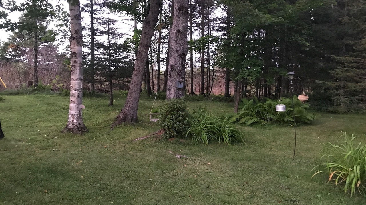 Photo of Outdoor in Two Harbors