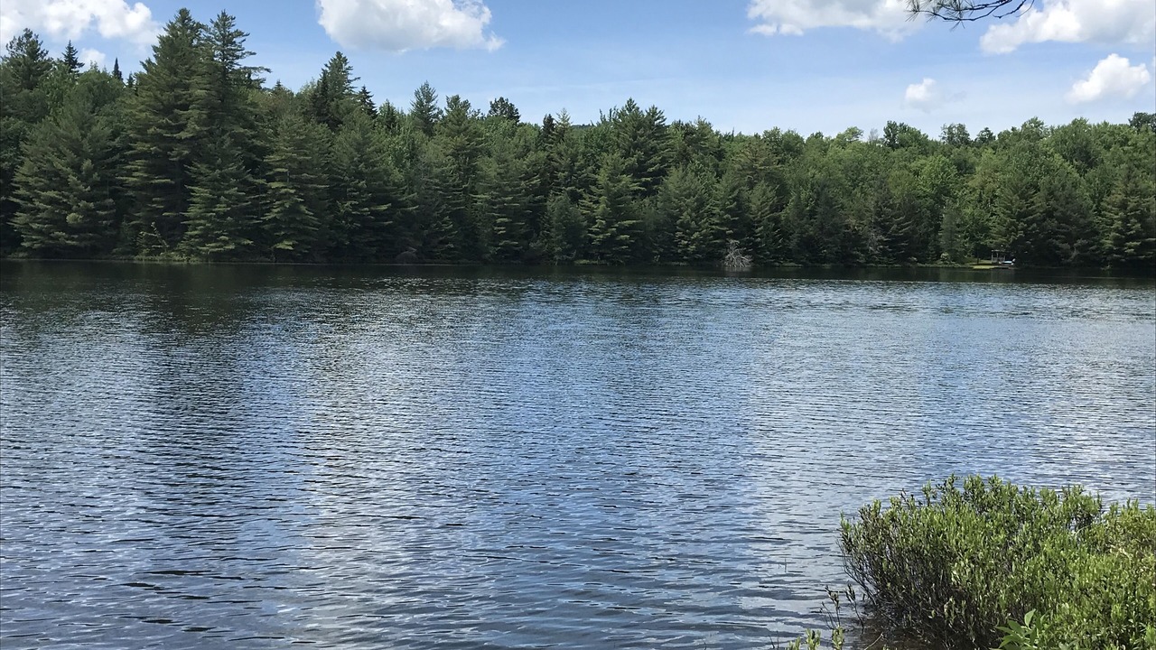Photo of Outdoor in Vermontville
