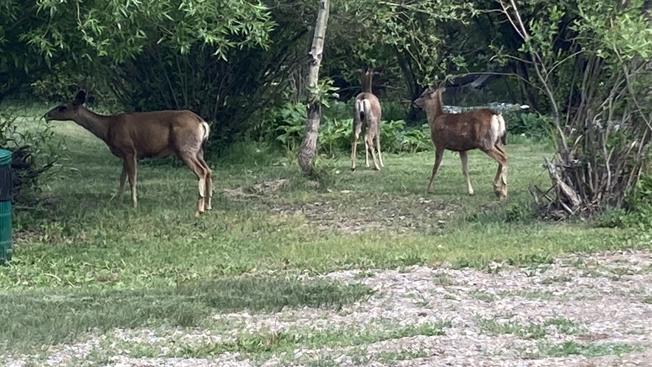 Photo of Others in Red River
