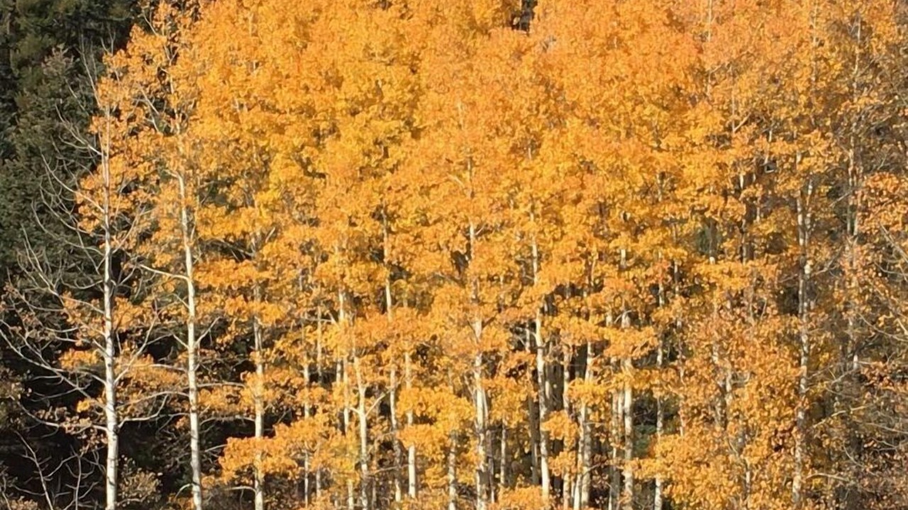 Photo of Others in Red River