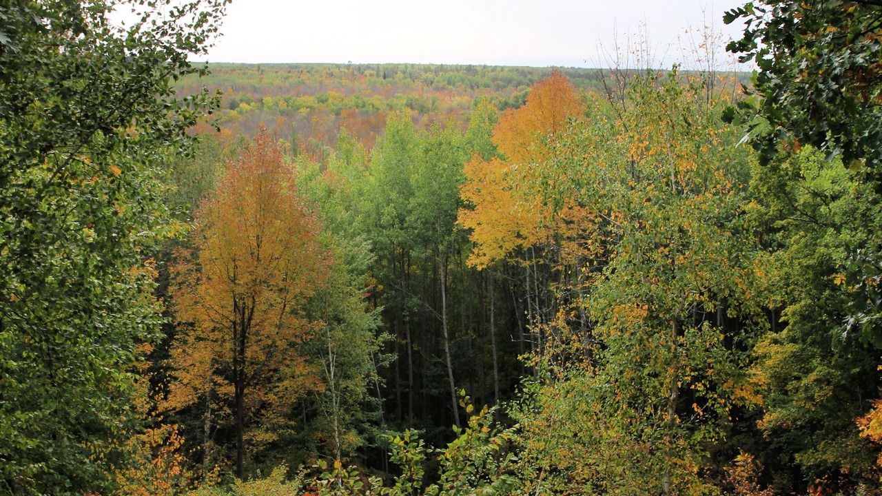 Photo of Others in Markville