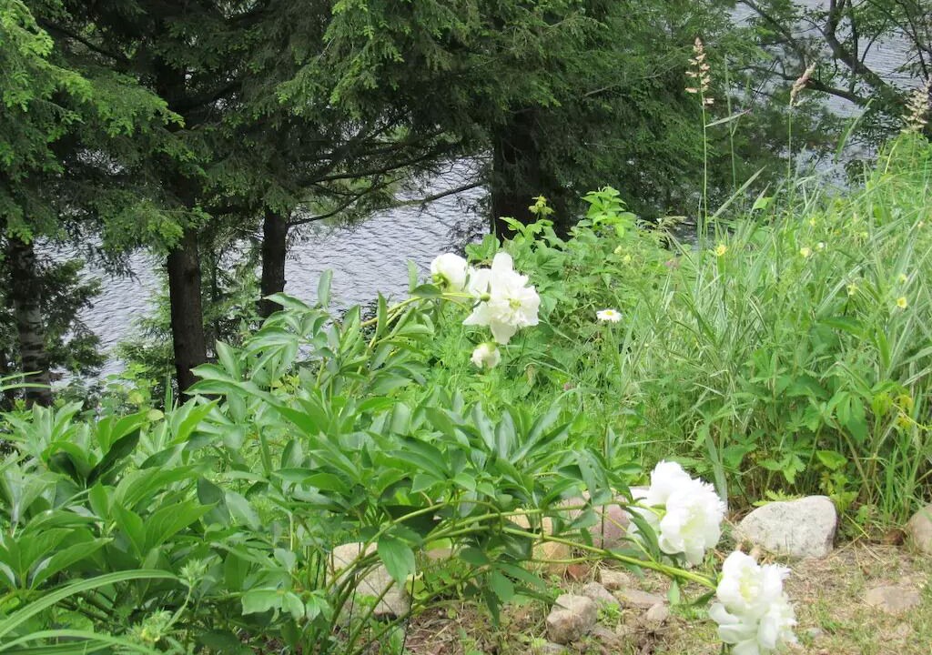 Photo of Outdoor in Wilmington